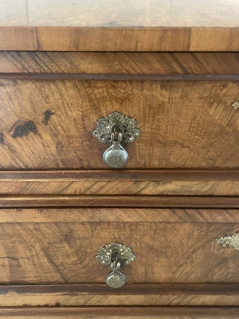 Antique Victorian Outstanding Quality Burr Walnut Chest of Four Drawers - Image 10